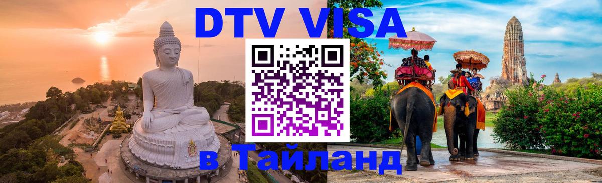 Оформление DTV визы под ключ: стоимость и тарифы, только загранпаспорт - 07.01.2026 